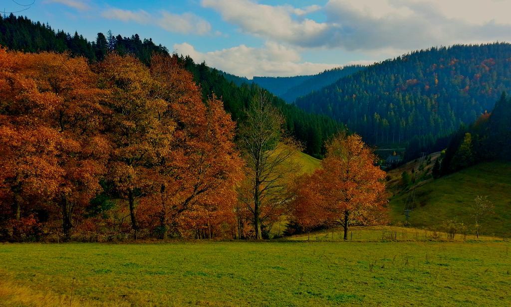 Outdoor & Relax Blackforest Neukirch  Exteriör bild